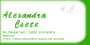 alexandra csete business card